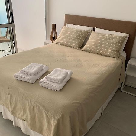 Moderno Estudio En El Historico Barrio De San Telmo 布宜诺斯艾利斯 外观 照片